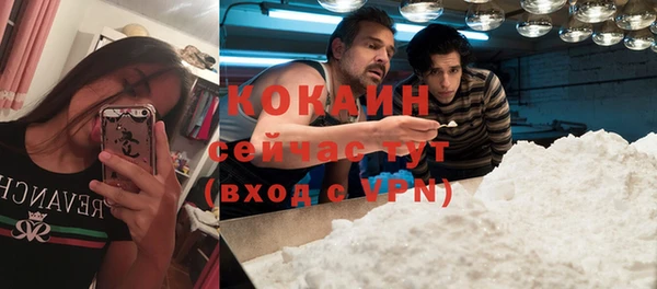 твердый Грязи