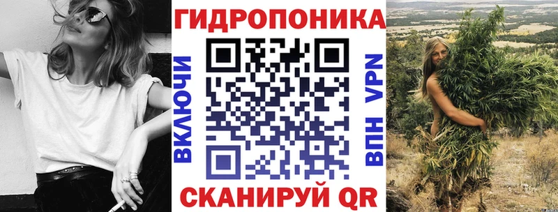 Шишки марихуана THC 21%  где можно купить наркотик  Пестово 